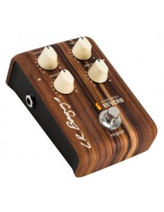 L.R. Baggs Align Reverb