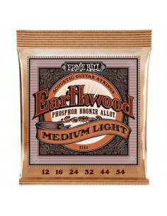 Ernie Ball Earthwood 2146...