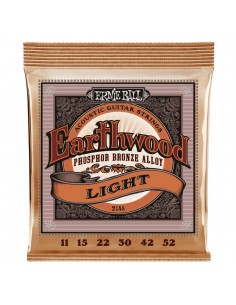Ernie Ball Earthwood 2148...