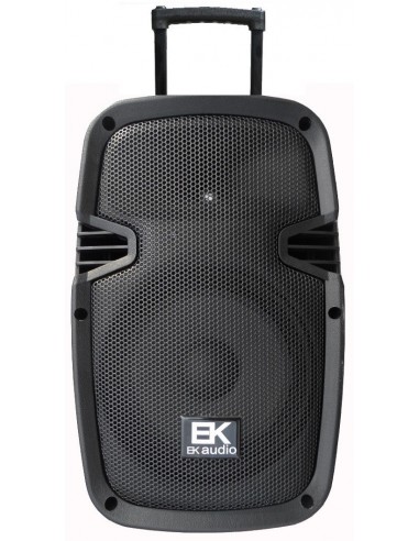 EK AUDIO M20PB15P