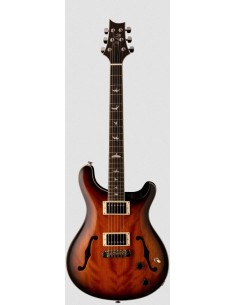 Paul Reed Smith SE...