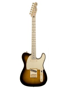 Fender Telecaster Richie...