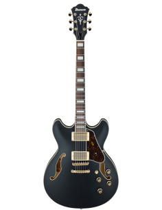 Ibanez AS73G-BKF