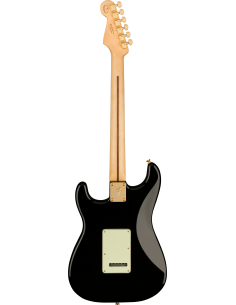 Fender Stratocaster Player... 2