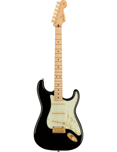 Fender Stratocaster Player...