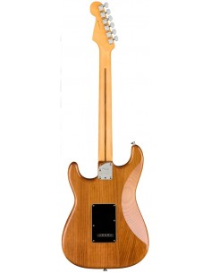 Fender Stratocaster... 2