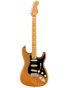 Fender Stratocaster...