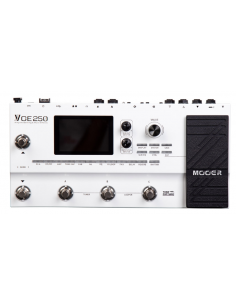 MOOER GE250