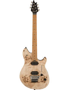 EVH Wolfgang Standard...