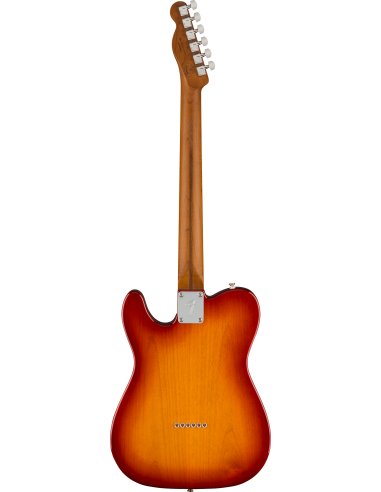 Fender Telecaster LE Player Roasted... Fender Telecaster LE Player Roasted...
