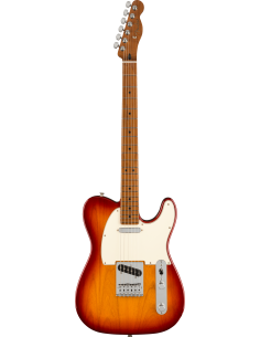 Fender Telecaster LE Player...