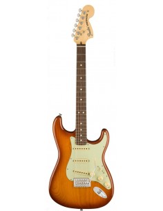 Fender Stratocaster...