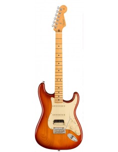 Fender Stratocaster...