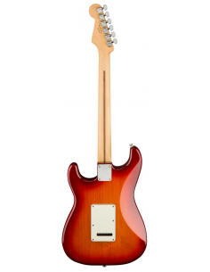 Fender Stratocaster Player... 2