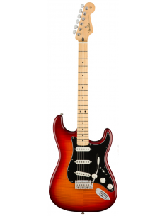 Fender Stratocaster Player...