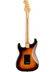 Fender Stratocaster Player... 2