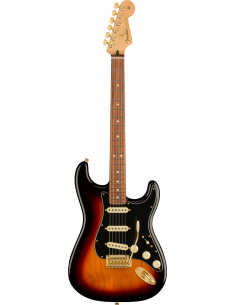 Fender Stratocaster Player...