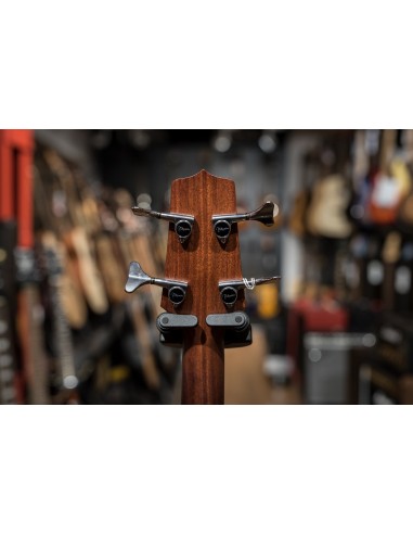 Takamine TB-240SC NS Takamine TB-240SC NS