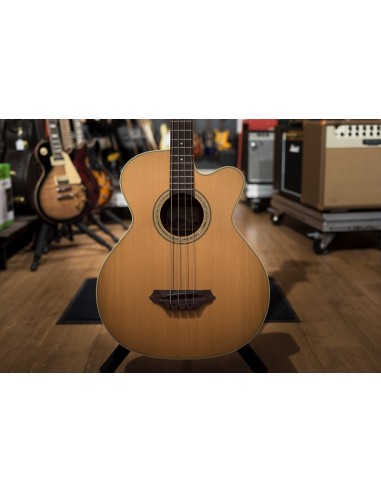 Takamine TB-240SC NS Takamine TB-240SC NS