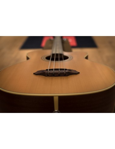 Takamine TB-240SC NS Takamine TB-240SC NS