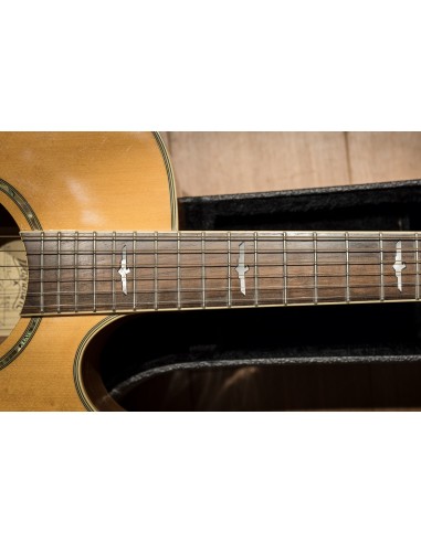*Washburn EA26 Craig Chaquico (1996) *Washburn EA26 Craig Chaquico (1996)