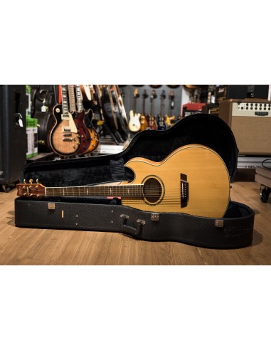 *Washburn EA26 Craig Chaquico (1996) *Washburn EA26 Craig Chaquico (1996)