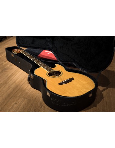*Washburn EA26 Craig Chaquico (1996) *Washburn EA26 Craig Chaquico (1996)