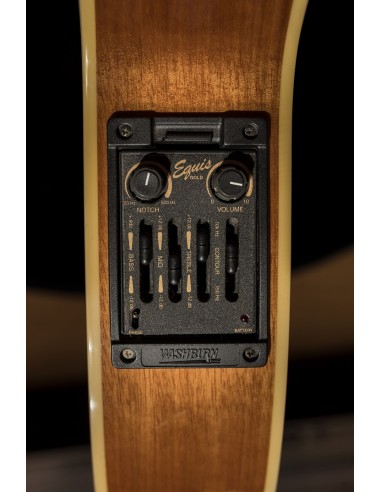 *Washburn EA26 Craig Chaquico (1996) *Washburn EA26 Craig Chaquico (1996)