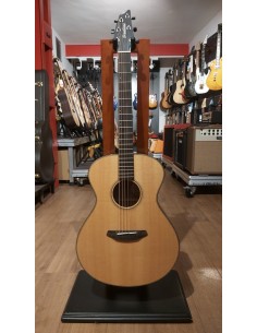 Breedlove Oregon Concert...