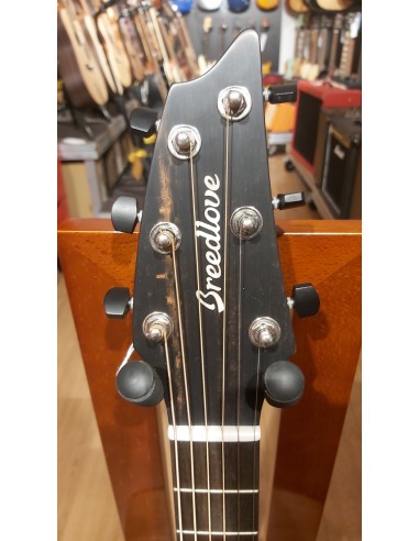 Breedlove Oregon Concert 26E (2016)