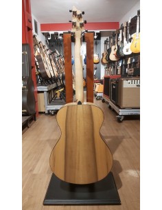 Breedlove Oregon Concert... 2