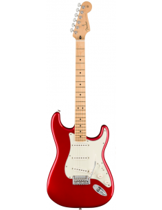 Fender Stratocaster Player...