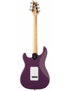 Paul Reed Smith SE Silver... 2