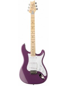 Paul Reed Smith SE Silver...