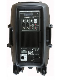 EK Audio M15PS10PA 2