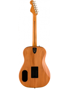 Fender Highway Dreadnought... 2