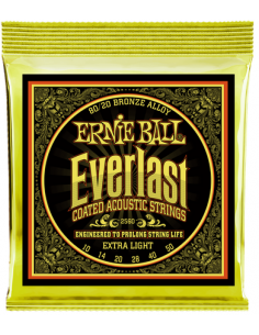 Ernie Ball Everlast 2560...