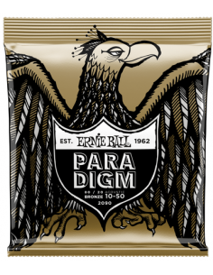 Ernie Ball Paradigm 2090...