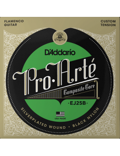 D'Addario EJ25B Custom...