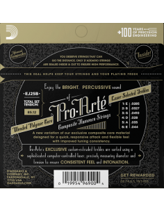 D'Addario EJ25B Custom... 2