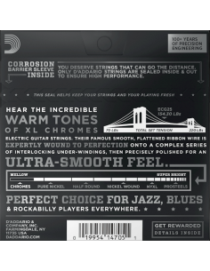 D'Addario ECG25 Chromes... 2