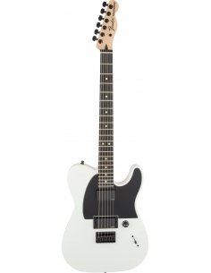Fender Telecaster Jim Root...