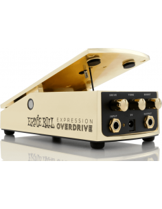 Ernie Ball Expression...