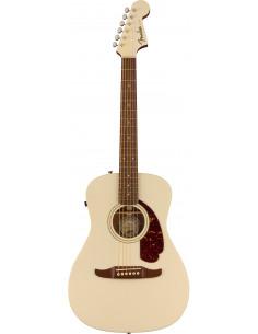 Fender Malibu Player...