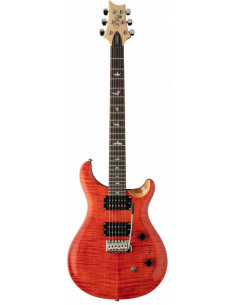 Paul Reed Smith SE Custom...