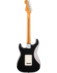 Fender Stratocaster Player... 2