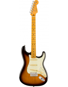 Fender Stratocaster...
