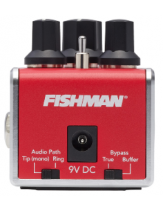 Fishman AFX Acoustiverb Mini 2