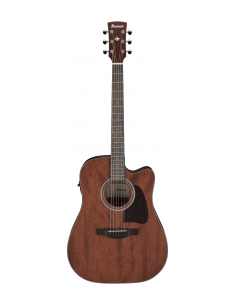 Ibanez AW54CE OPN