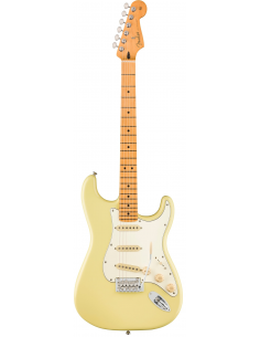 Fender Stratocaster Player...